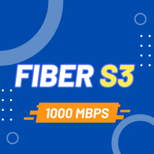 Fiber S3 VNPT