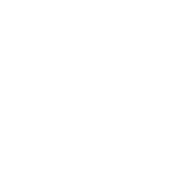 Icon Internet Vnpt